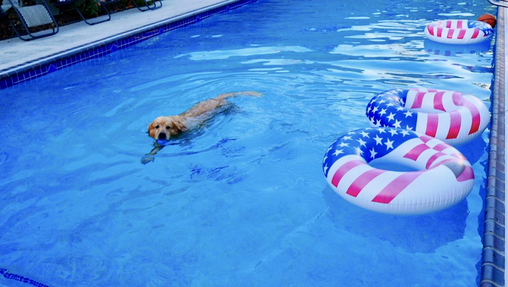 patriotic pool party