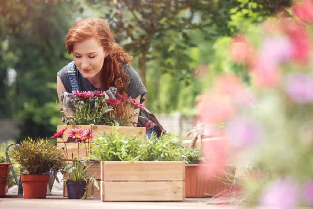 green thumb personality